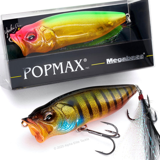 Megabass PopMax Topwater Popper